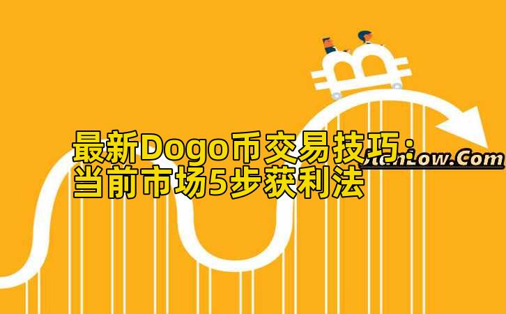 最新Dogo币交易技巧：当前市场5步获利法插图