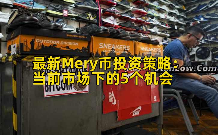 最新Mery币投资策略:当前市场下的5个机会插图 最新Mery币投资策略:当前市场下的5个机会插图