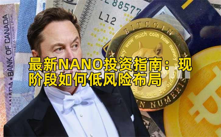 最新NANO投资指南：现阶段如何低风险布局插图