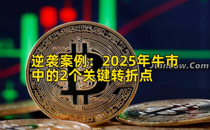 逆袭案例:2025年牛市中的2个关键转折点插图 逆袭案例:2025年牛市中的2个关键转折点插图