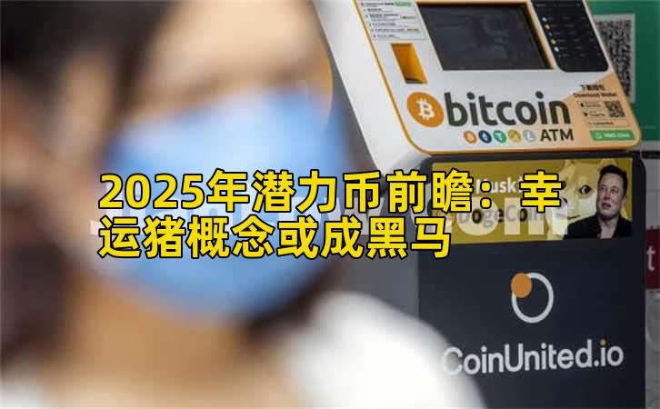 2025年潜力币前瞻:幸运猪概念或成黑马插图 2025年潜力币前瞻:幸运猪概念或成黑马插图