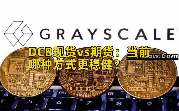 DCB现货vs期货:当前哪种方式更稳健?插图 DCB现货vs期货:当前哪种方式更稳健?插图
