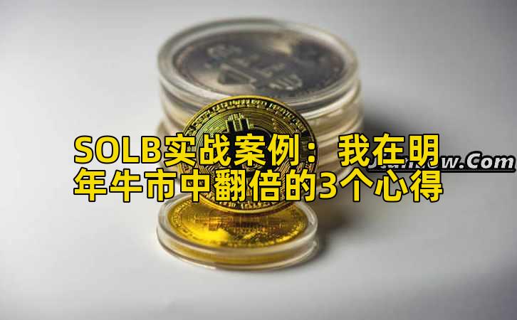 SOLB实战案例:我在明年牛市中翻倍的3个心得插图 SOLB实战案例:我在明年牛市中翻倍的3个心得插图