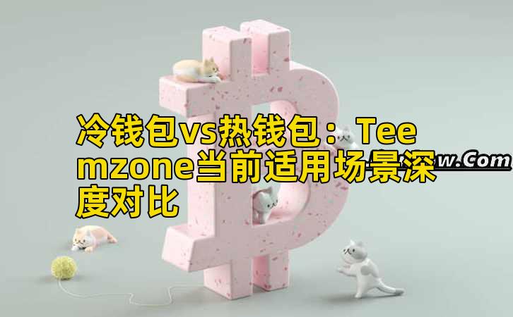 冷钱包vs热钱包：Teemzone当前适用场景深度对比插图