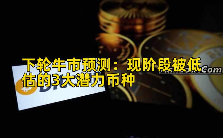 下轮牛市预测：现阶段被低估的3大潜力币种插图