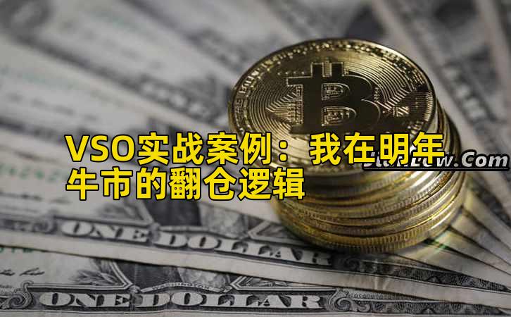 VSO实战案例：我在明年牛市的翻仓逻辑插图