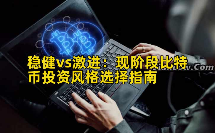稳健vs激进:现阶段比特币投资风格选择指南插图 稳健vs激进:现阶段比特币投资风格选择指南插图