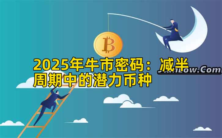 2025年牛市密码:减半周期中的潜力币种插图 2025年牛市密码:减半周期中的潜力币种插图