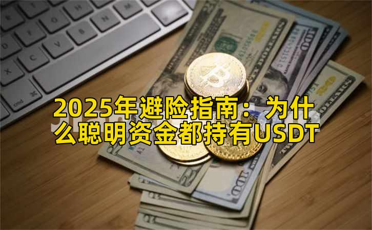 2025年避险指南:为什么聪明资金都持有USDT插图 2025年避险指南:为什么聪明资金都持有USDT插图