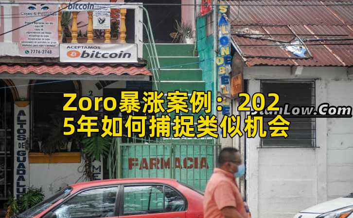 Zoro暴涨案例:2025年如何捕捉类似机会插图 Zoro暴涨案例:2025年如何捕捉类似机会插图