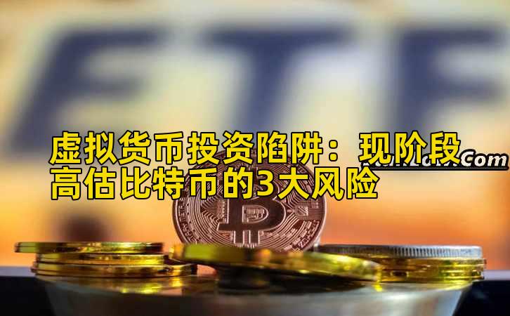 虚拟货币投资陷阱:现阶段高估比特币的3大风险插图 虚拟货币投资陷阱:现阶段高估比特币的3大风险插图