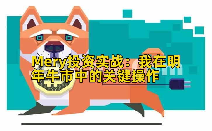 Mery投资实战：我在明年牛市中的关键操作插图