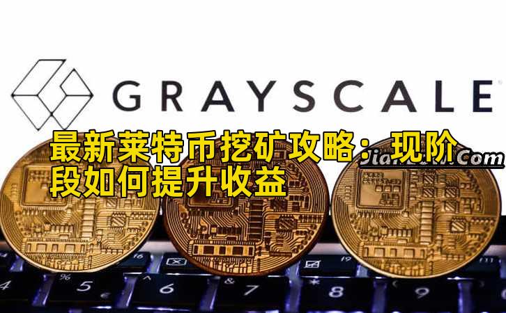 最新莱特币挖矿攻略：现阶段如何提升收益插图