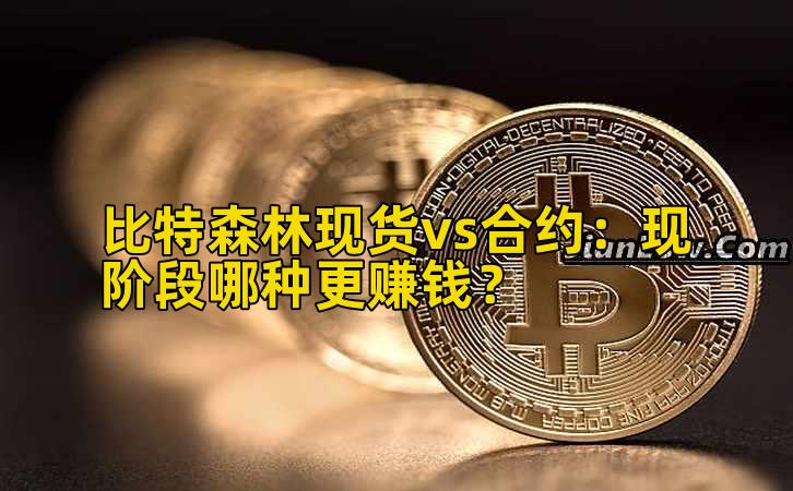 比特森林现货vs合约:现阶段哪种更赚钱?插图 比特森林现货vs合约:现阶段哪种更赚钱?插图