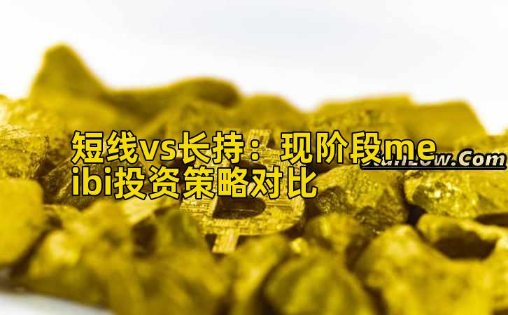 短线vs长持：现阶段meibi投资策略对比插图