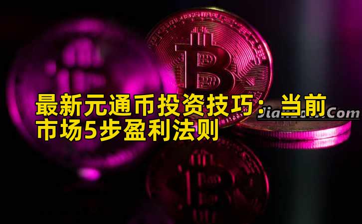 最新元通币投资技巧：当前市场5步盈利法则插图