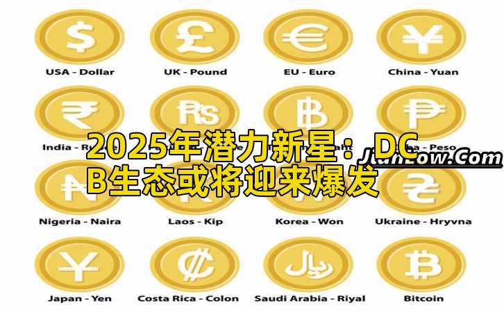 2025年潜力新星:DCB生态或将迎来爆发插图 2025年潜力新星:DCB生态或将迎来爆发插图