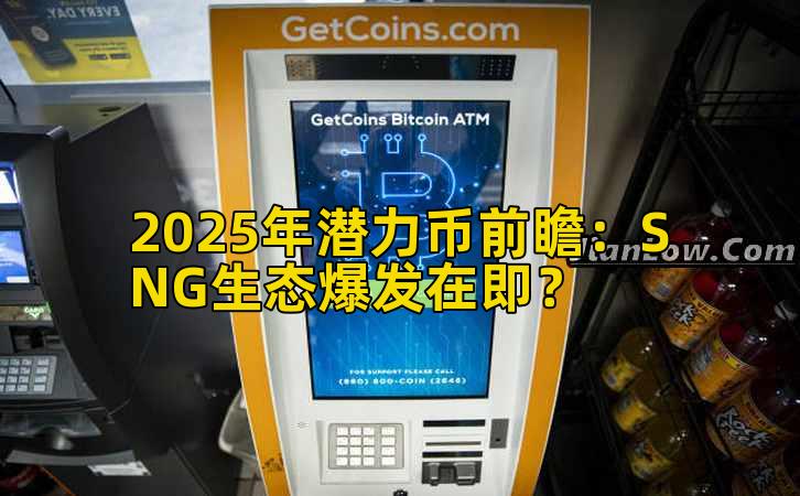 2025年潜力币前瞻:SNG生态爆发在即?插图 2025年潜力币前瞻:SNG生态爆发在即?插图