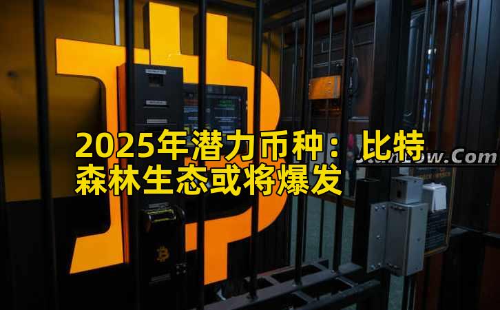 2025年潜力币种:比特森林生态或将爆发插图 2025年潜力币种:比特森林生态或将爆发插图