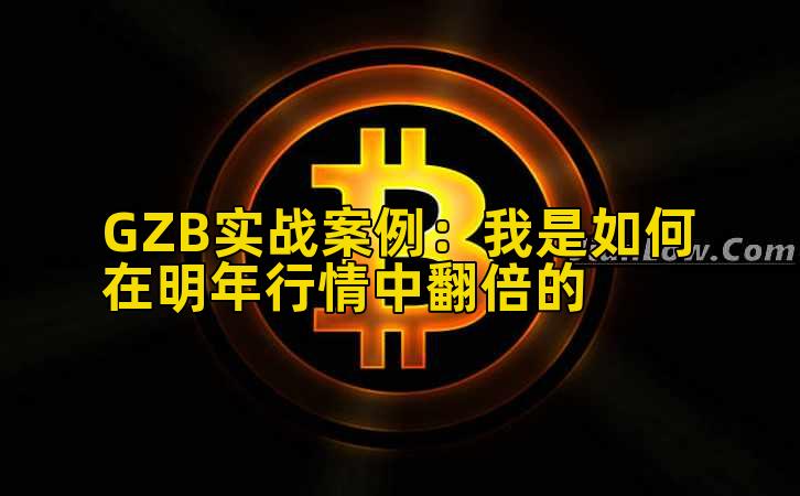 GZB实战案例：我是如何在明年行情中翻倍的插图