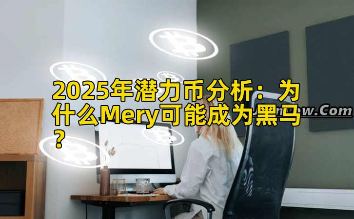 2025年潜力币分析:为什么Mery可能成为黑马?插图 2025年潜力币分析:为什么Mery可能成为黑马?插图