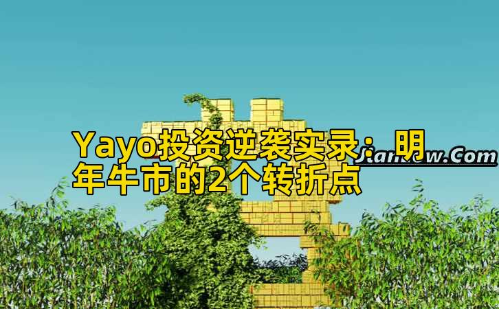 Yayo投资逆袭实录：明年牛市的2个转折点插图