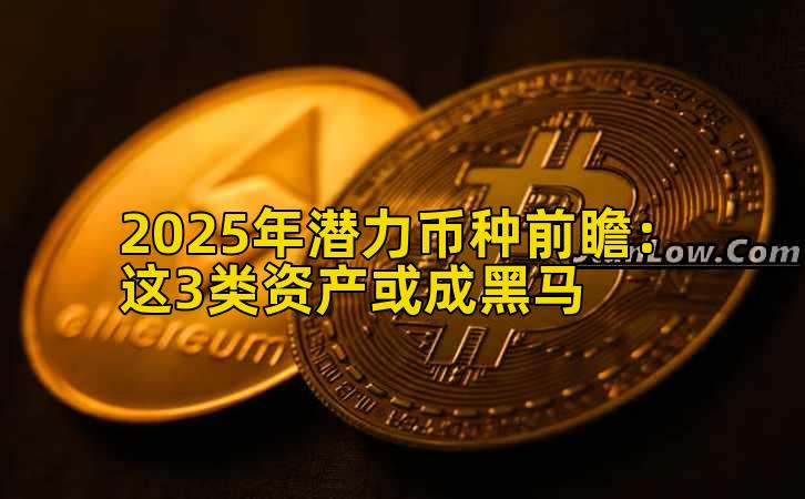 2025年潜力币种前瞻:这3类资产或成黑马插图 2025年潜力币种前瞻:这3类资产或成黑马插图