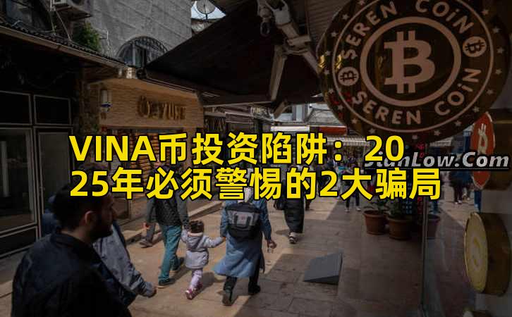 VINA币投资陷阱：2025年必须警惕的2大骗局插图