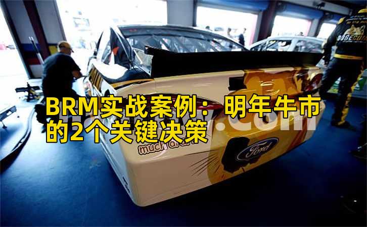 BRM实战案例:明年牛市的2个关键决策插图 BRM实战案例:明年牛市的2个关键决策插图
