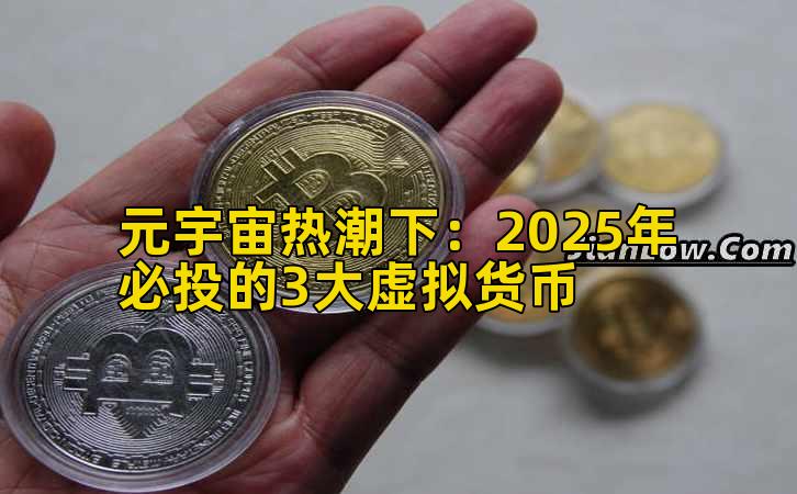 元宇宙热潮下：2025年必投的3大虚拟货币插图