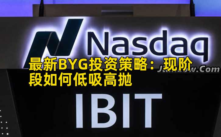 最新BYG投资策略：现阶段如何低吸高抛插图