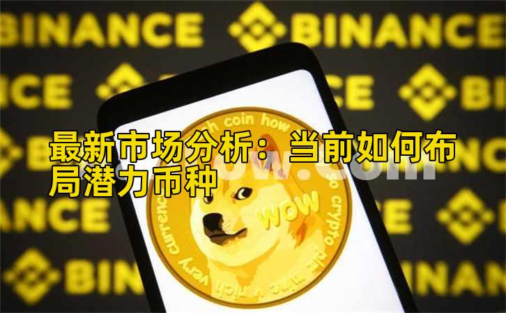 最新市场分析:当前如何布局潜力币种插图 最新市场分析:当前如何布局潜力币种插图