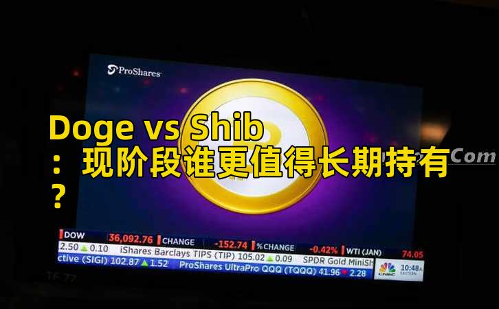 Doge vs Shib：现阶段谁更值得长期持有？插图