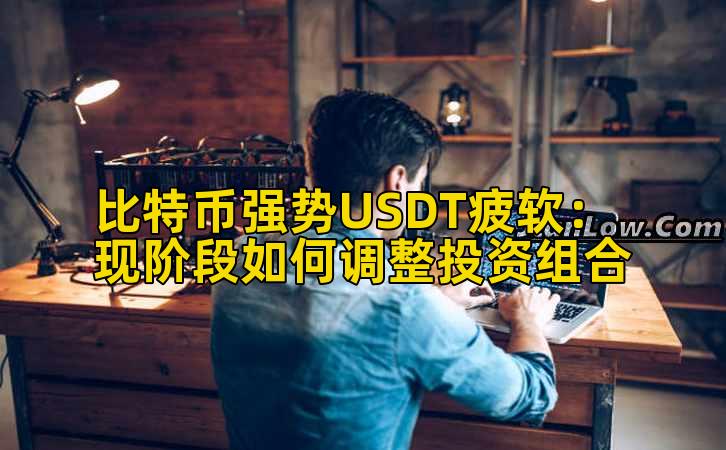 比特币强势USDT疲软：现阶段如何调整投资组合插图