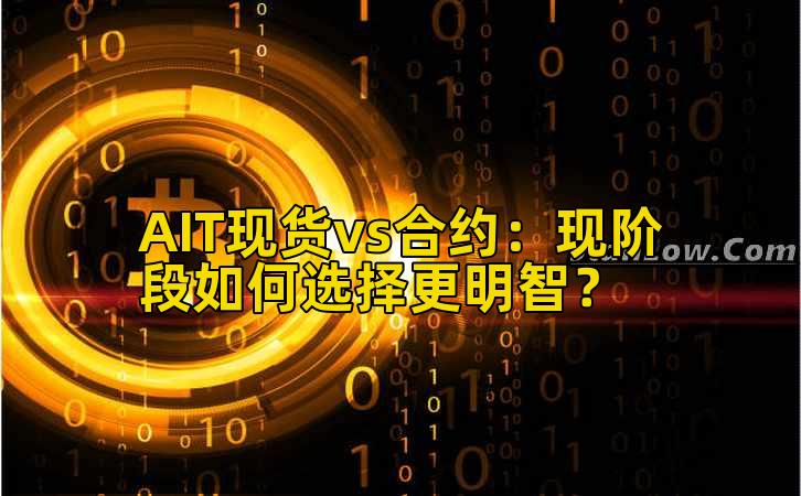 AIT现货vs合约：现阶段如何选择更明智？插图