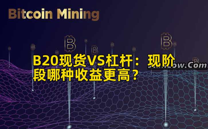 B20现货VS杠杆：现阶段哪种收益更高？插图