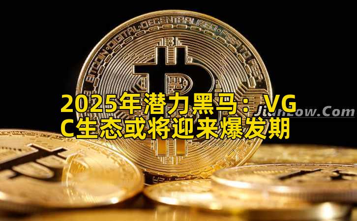 2025年潜力黑马：VGC生态或将迎来爆发期插图