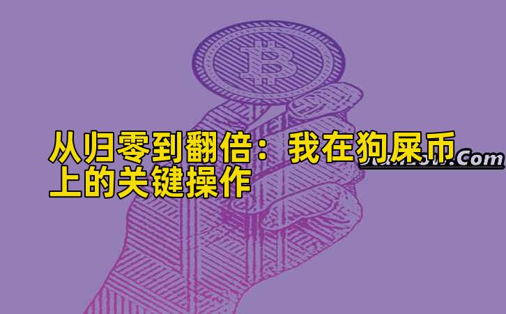 从归零到翻倍:我在狗屎币上的关键操作插图 从归零到翻倍:我在狗屎币上的关键操作插图