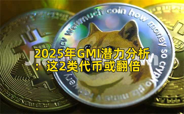 2025年GMI潜力分析:这2类代币或翻倍插图 2025年GMI潜力分析:这2类代币或翻倍插图