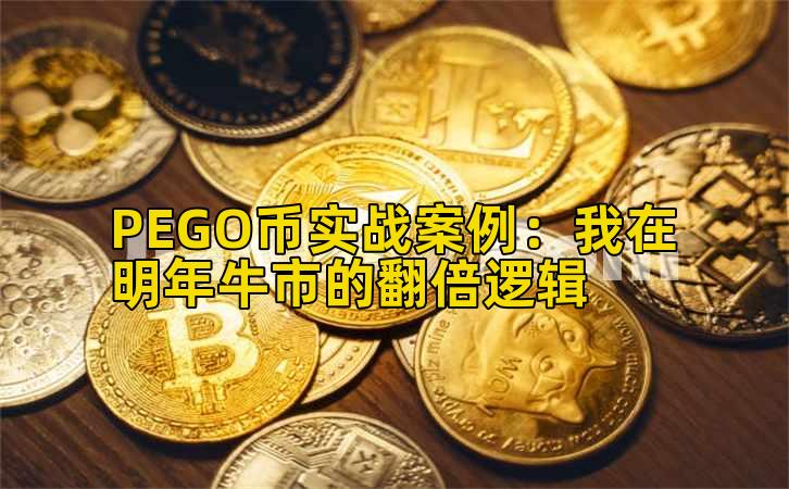 PEGO币实战案例：我在明年牛市的翻倍逻辑插图