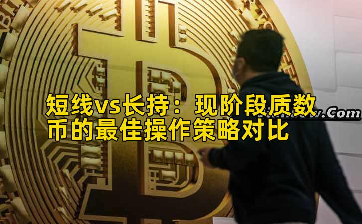 短线vs长持：现阶段质数币的最佳操作策略对比插图