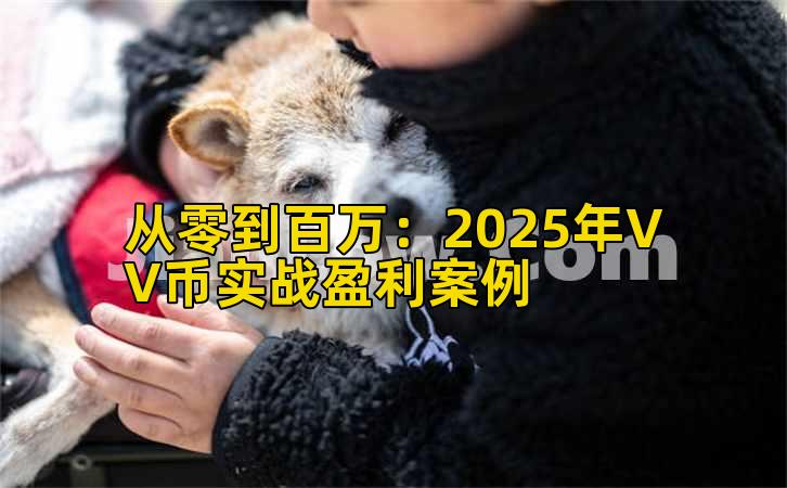 从零到百万:2025年VV币实战盈利案例插图 从零到百万:2025年VV币实战盈利案例插图