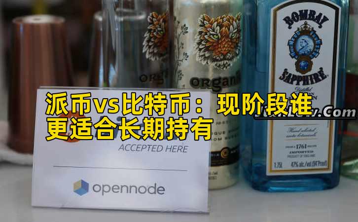 派币vs比特币:现阶段谁更适合长期持有插图 派币vs比特币:现阶段谁更适合长期持有插图