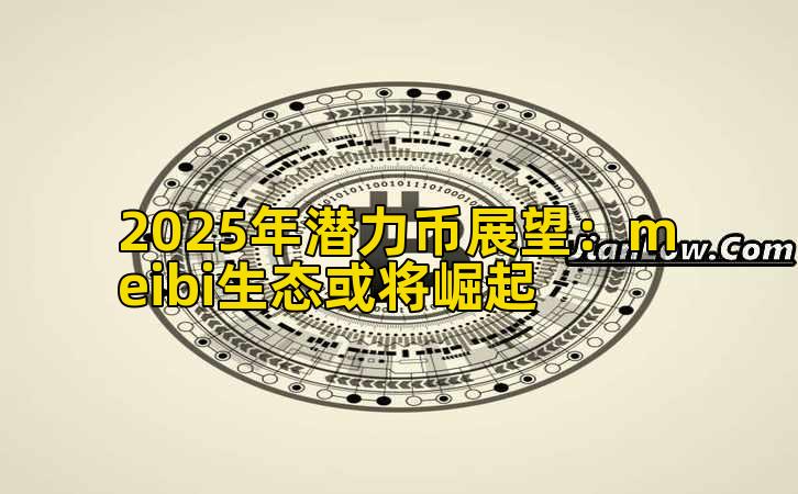 2025年潜力币展望：meibi生态或将崛起插图