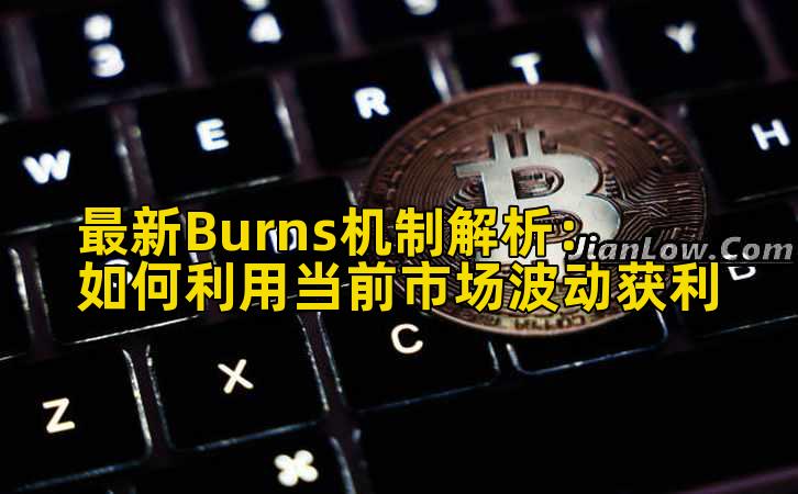 最新Burns机制解析：如何利用当前市场波动获利插图