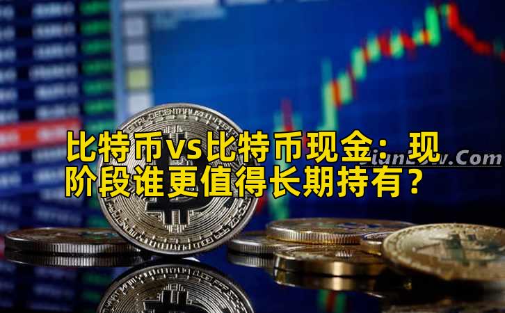 比特币vs比特币现金：现阶段谁更值得长期持有？插图