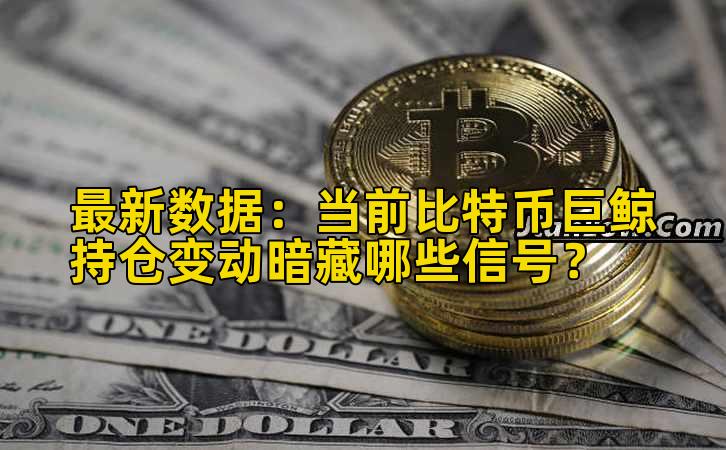 最新数据:当前比特币巨鲸持仓变动暗藏哪些信号?插图 最新数据:当前比特币巨鲸持仓变动暗藏哪些信号?插图