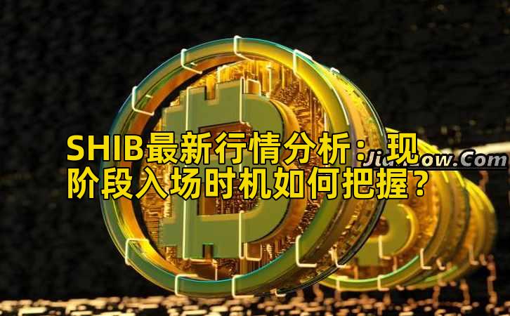 SHIB最新行情分析：现阶段入场时机如何把握？插图