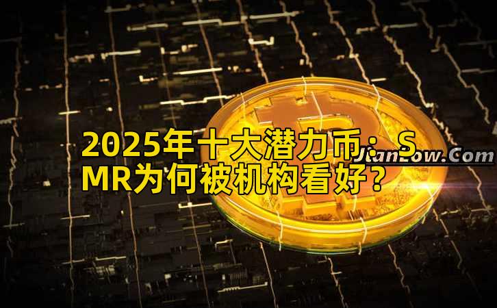 2025年十大潜力币:SMR为何被机构看好?插图 2025年十大潜力币:SMR为何被机构看好?插图