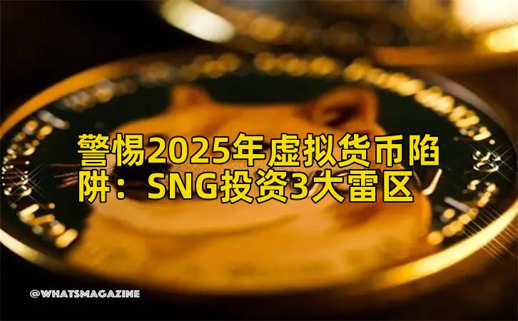 警惕2025年虚拟货币陷阱：SNG投资3大雷区插图